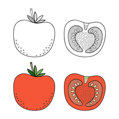 Tomato, vegetable. Black and white illustration for coloring book, pages. Vector