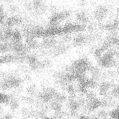 Grunge Dust Messy Background. Easy To Create Abstract Vintage, Dotted, Scratched Effect With Grain And Noise. Aged Design Element. Black and White Vector