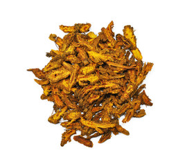 Rhizoma Coptidis, chinese herbal medicine isolated. Huang Lian