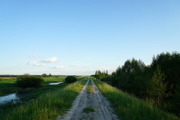 Fototapeta na wymiar gravel road through wetlands