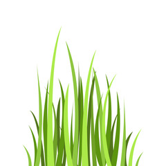 Colored flat icon, vector design. Cartoon green grass. Illustration for nature, flora, plants, landscape
