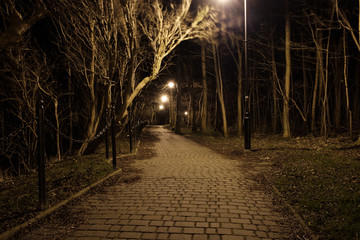 walkway in a park by night
