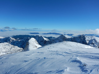 winter nature in Triglav national park