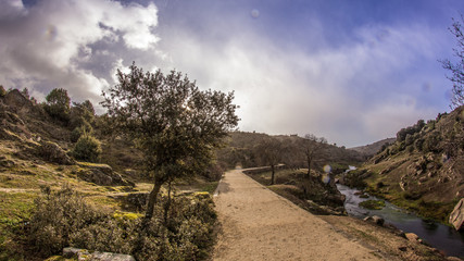 camino a contraluz