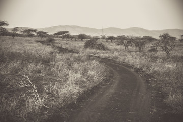 Road to nowhere Black and White