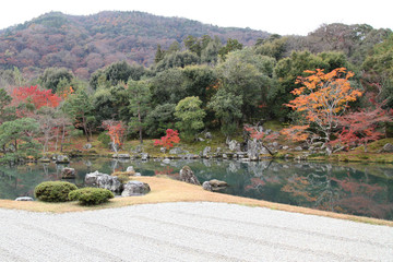 Fototapeta na wymiar Garden in Tenryu-ji Temple in kyoto at japan