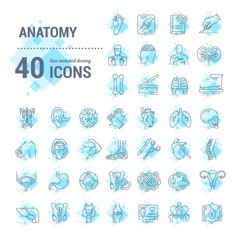 Vector graphic set. Icons in flat, contour, thin, minimal and linear design. Science of anatomy. Study and structure of human internal organs. Concept illustration for Web site. Sign, symbol, element.