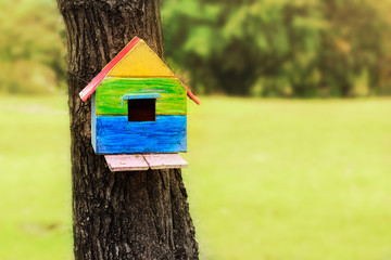 Birdhouse on The Tree in Public Park