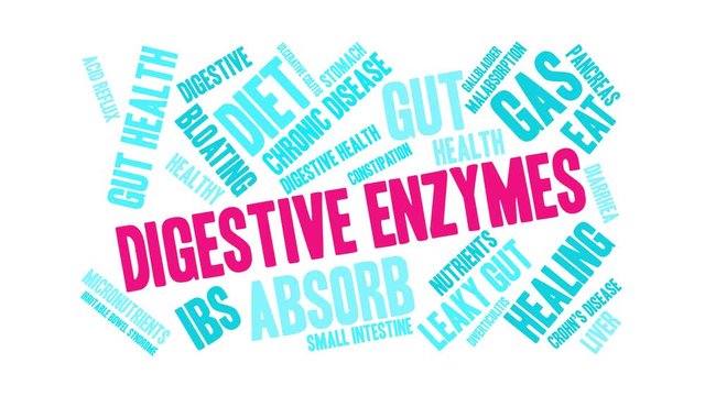 Digestive Enzymes word cloud on a white background.