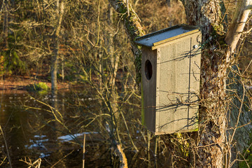 Wooden nesting box for goldeneye.