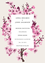 Sakura. Wedding invitation. Pink cherry blossom branch. Vector botanical illustration. © OlgaKorneeva