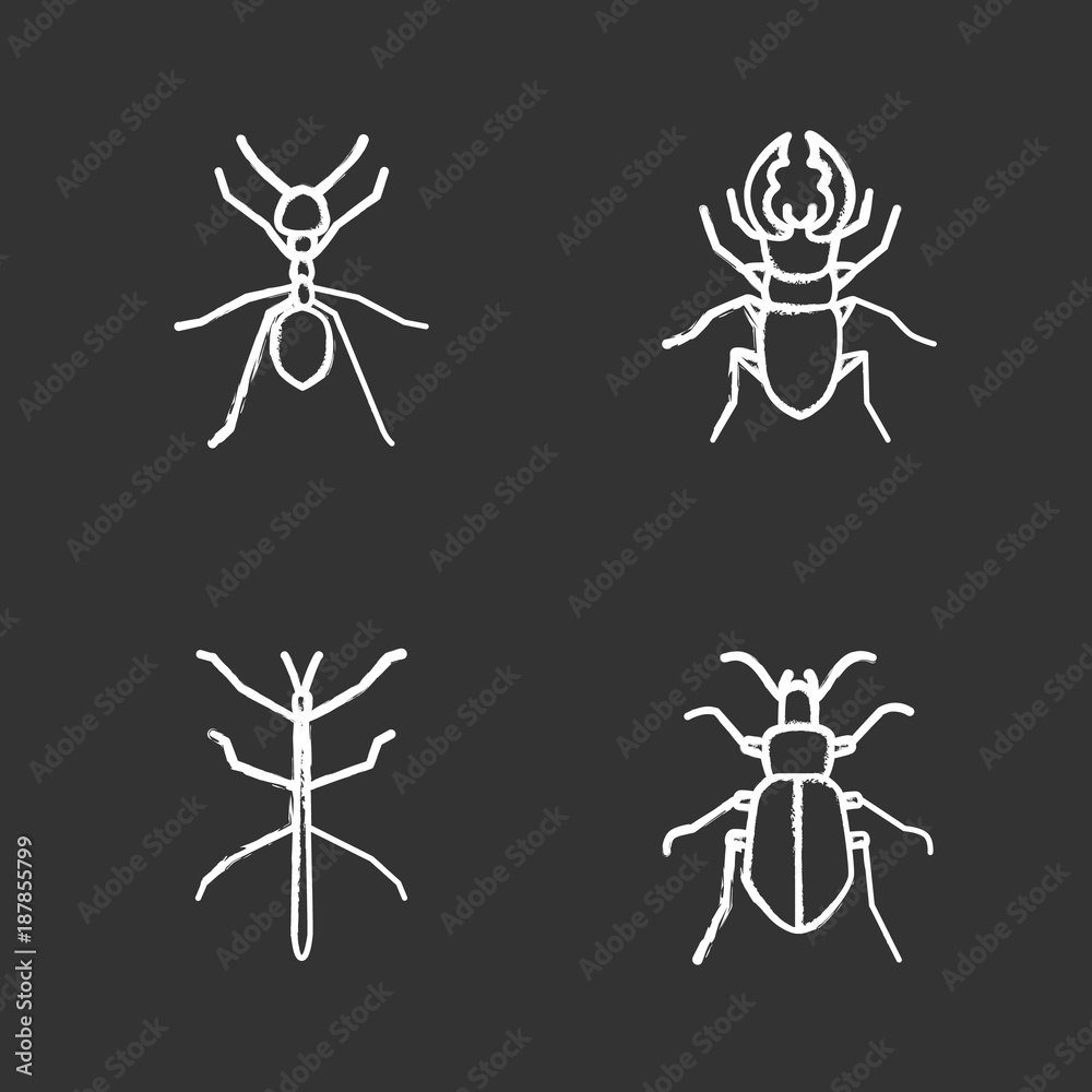 Canvas Prints insects chalk icons set