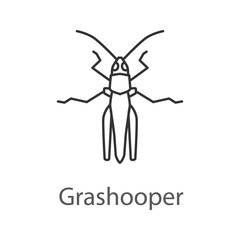 Grasshopper linear icon