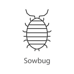 Woodlouse linear icon