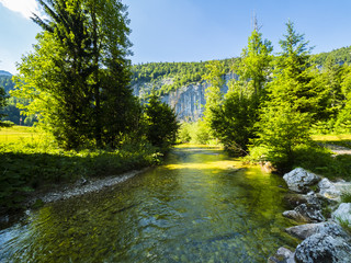 Fototapeta na wymiar Toplitzbach am Toplitzsee, Gössl, Ausseer Land, Salzkammergut, Stiermark, Österreich
