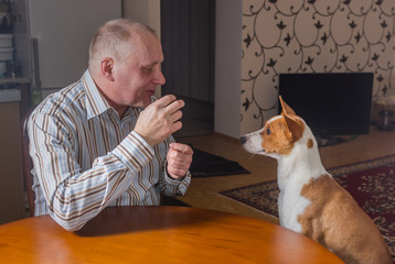 Mature man having conversation with basenji dog sitting at the table.