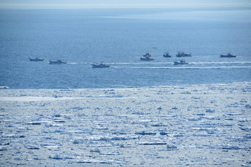 流氷の中のスケソウダラ漁 © Gold