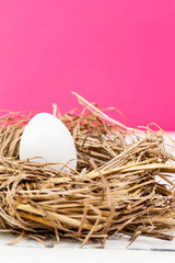 Fototapeta na wymiar vitt ägg i ett fågelbo mot rosa bakgrund