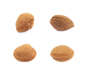 Single almond nut isolated