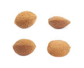 Single almond nut isolated