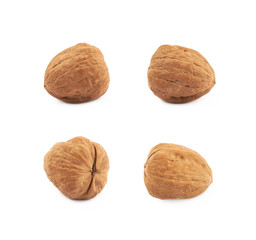Single walnut isolated