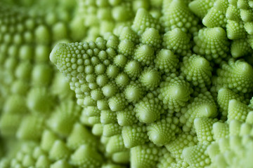 Closeup of romanesco broccoli or Roman cauliflower.