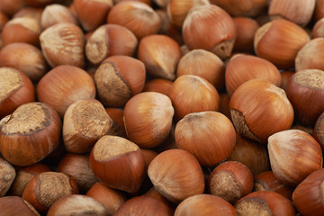 Surface coated with hazelnuts