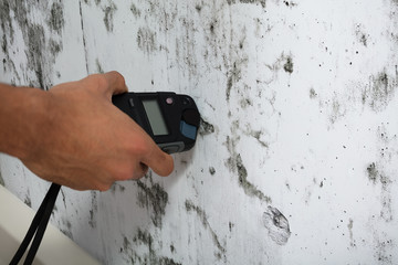 Person Measuring Wetness Of Moldy Wall