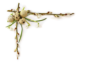 Spring frame of twigs willow tree with catkins, snowdrops (Galanthus nivalis) and quail eggs on...