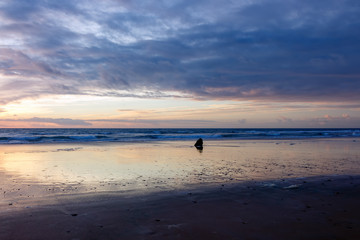 Fototapeta na wymiar Roca solitaria en la orilla de la playa