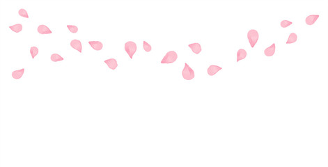 Light Pink flying petals isolated on white background. Sakura Roses petals. Vector