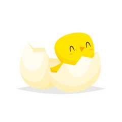 Cute chick hatched vector