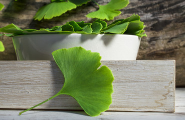 Collected medicinal leaves of the Ginkgo biloba tree in a bowl on the table wooden