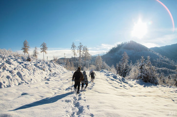 Fototapeta premium Group of young teeanagers going through deep snow