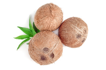 Coconut on a background