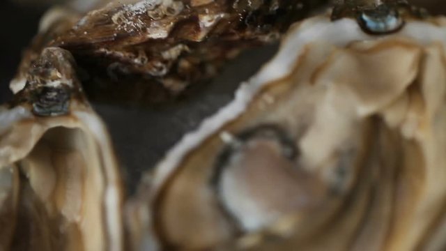 A tray of ice filled with oysters