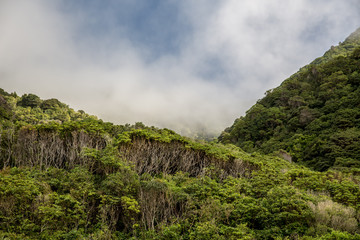 New Zealand