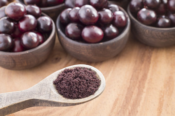 The amazon acai fruit - Euterpe oleracea