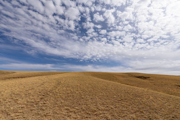 Typical Mongolian landscape 