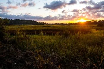 Foto auf Alu-Dibond landscape of south carolina low country marsh at sunrise with clouday sky © davide bonaldo