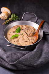Tasty mushroom sauce