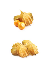 Composition of couple physalis fruits