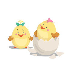 Chicken new born boy with crest in hatched egg and girl chick with green bow. Cartoon flat trendy design spring and new born baby vector illustration.