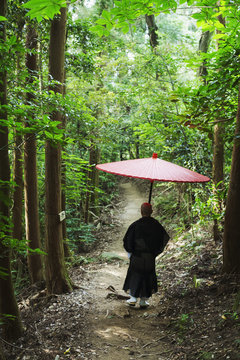Rear view of Buddhist monk wearing black robe walking down a forest path, carrying traditional red Japanese umbrella.