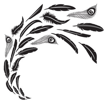 feathers in flight vector illustration