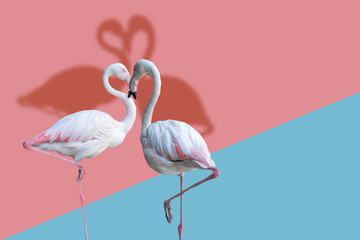 Two flamingos in heart shap on pink and blue background.