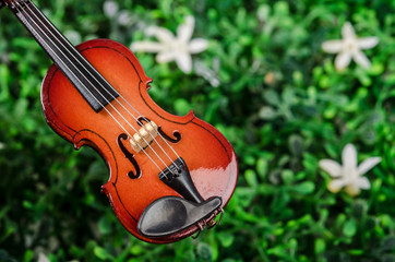 Fototapeta na wymiar Violin on green grass.