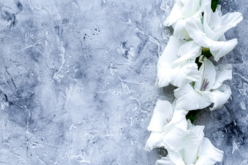 Gladiolus flower on grey stone background top view copyspace