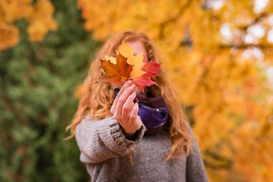 Woman showing red, yellow and brown maple leaves