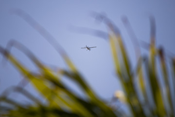 Plane among nature